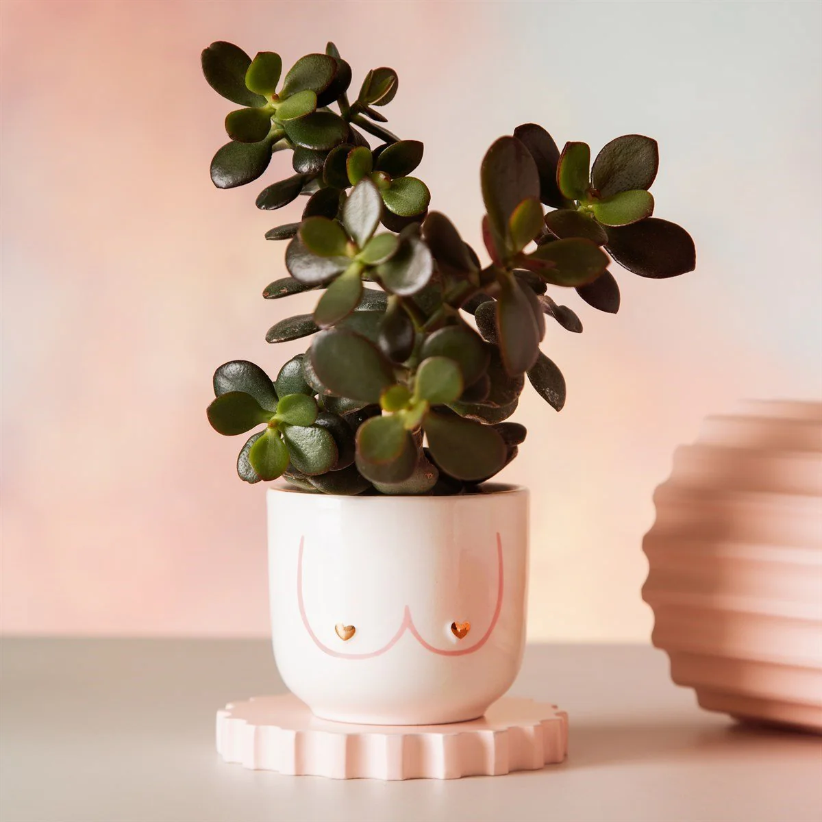 Mini Girl Power Boobies White Planter - Image 3