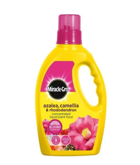 Miracle-Gro Azalea, Camellia & Rhododendron Liquid Plant Food - 1 Litre