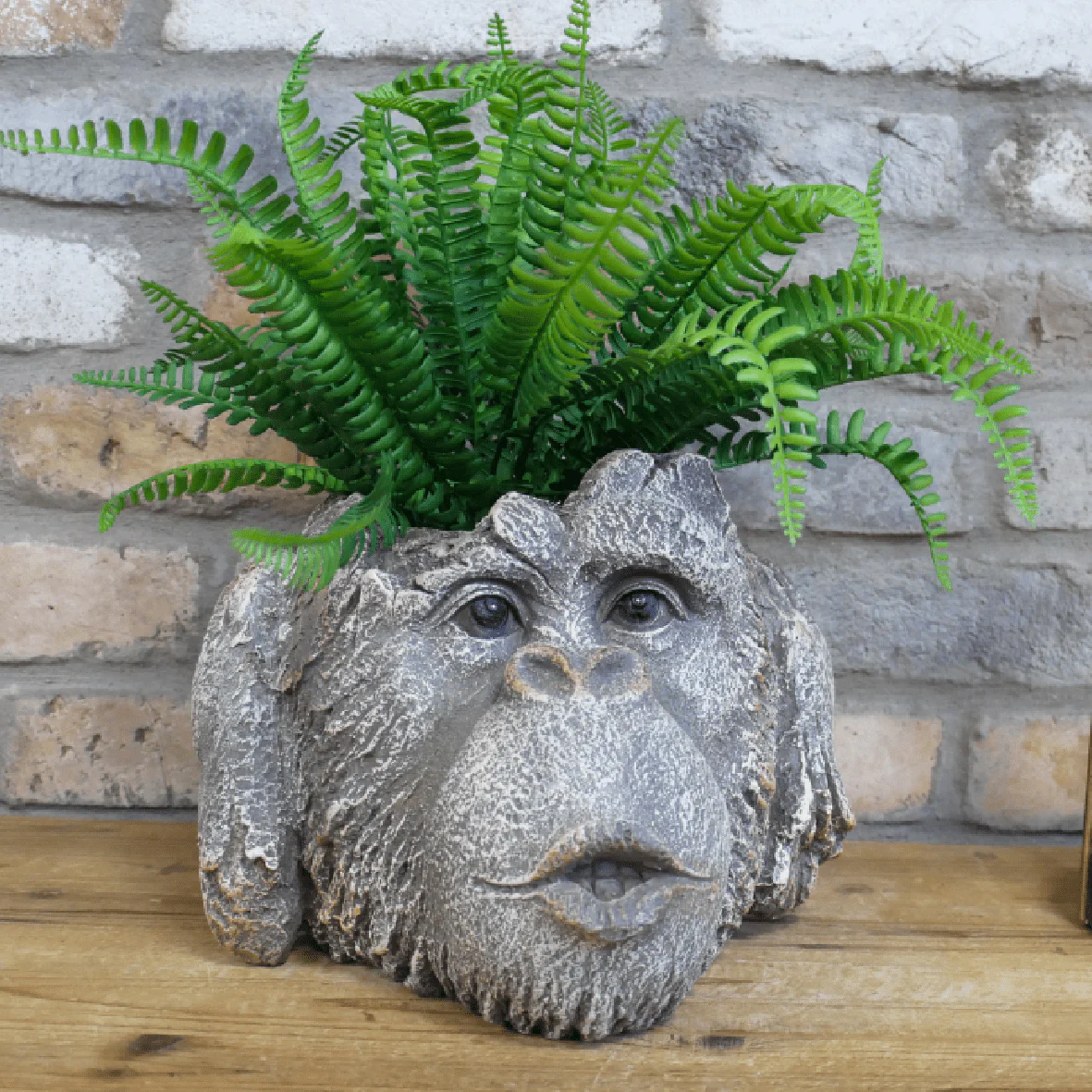 Monkey Head Planter 9447 - Image 2