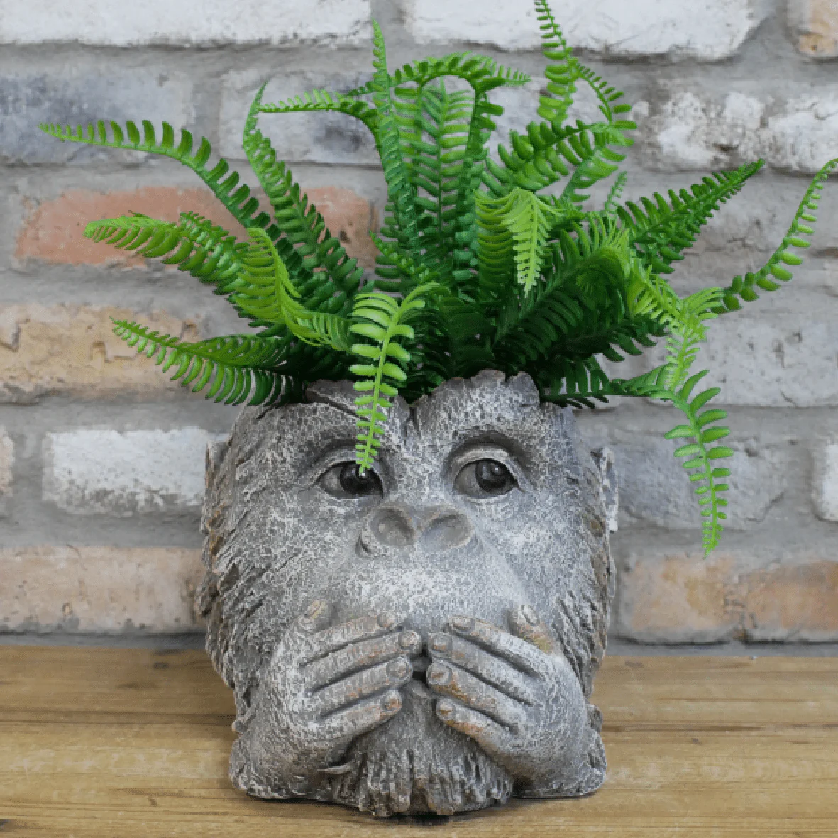 Monkey Head Planter 9448 - Image 2
