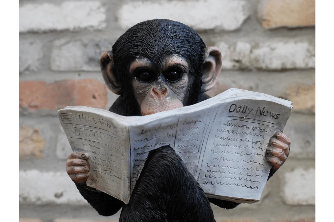 Monkey Reading The News Ornament 28cm - Image 2