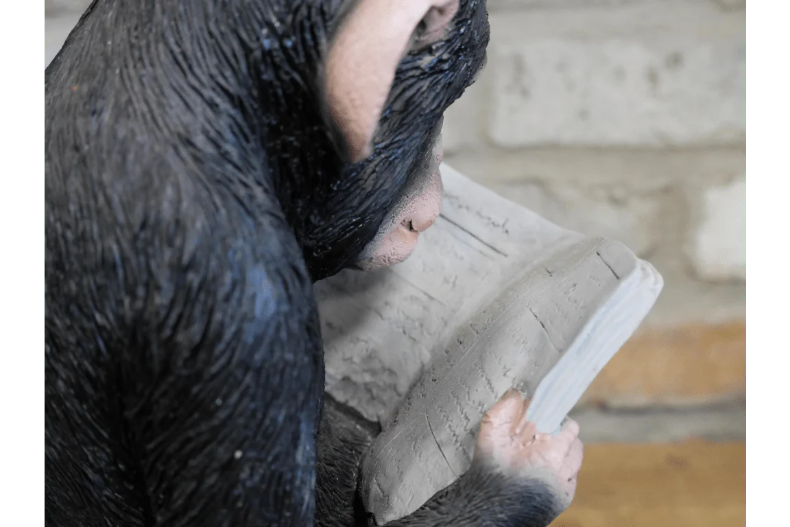 Monkey Reading The News Ornament 28cm - Image 3