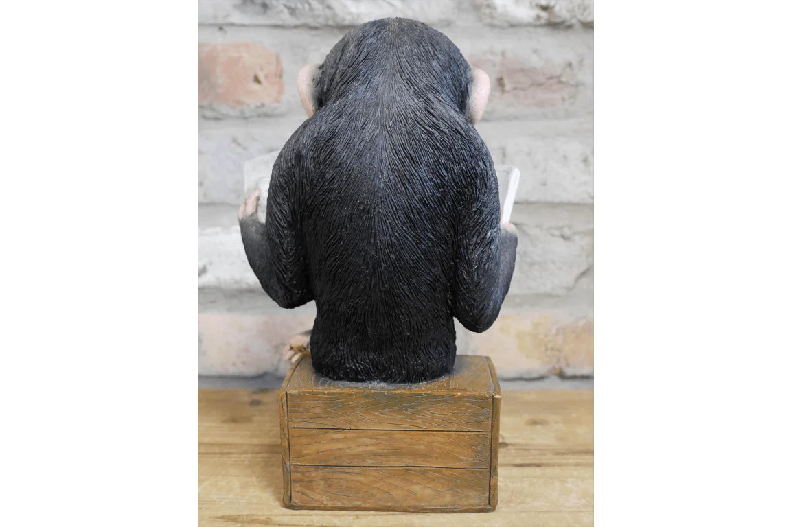 Monkey Reading The News Ornament 28cm - Image 4