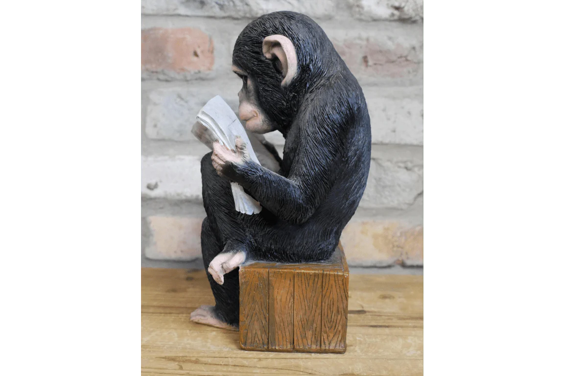 Monkey Reading The News Ornament 28cm - Image 5