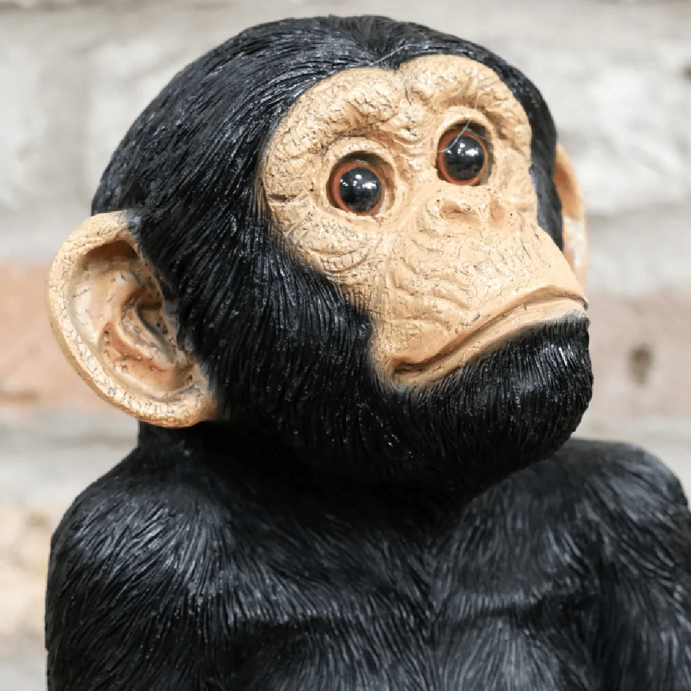 Monkey Sat On Rocks Ornament 33cm - Image 3