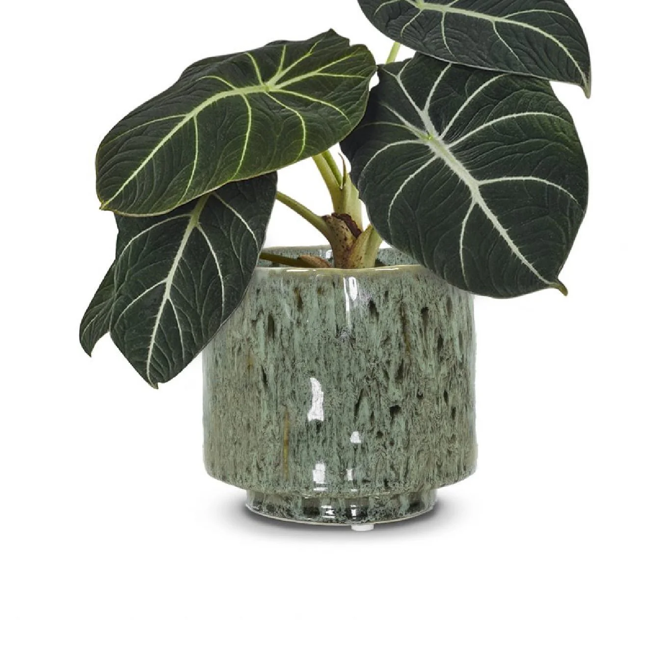 Mös Planter Pot 16cm - Image 2