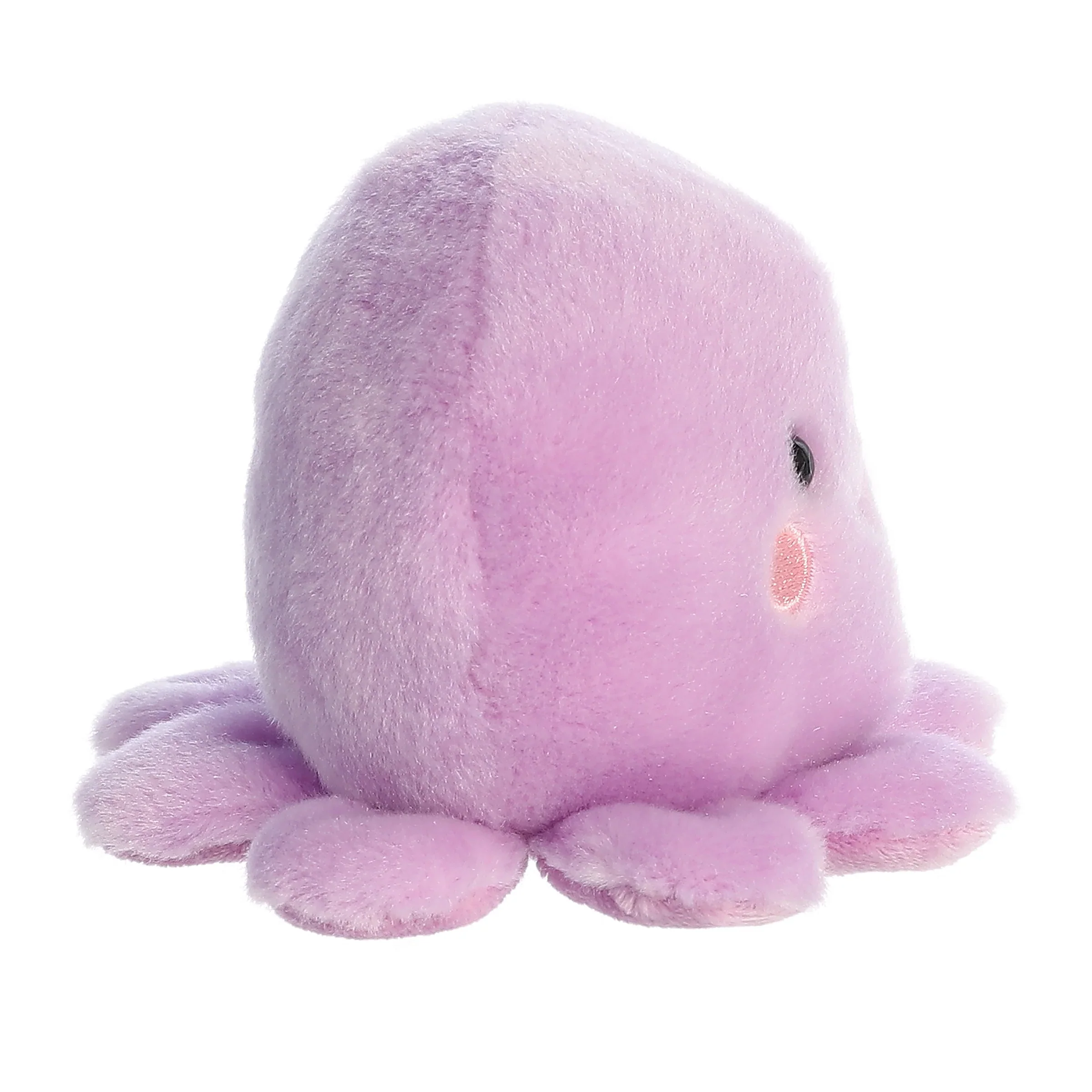 Palm Pals - Oliver Octopus - Image 2