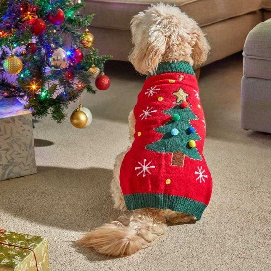 Pets Christmas Jumper TreeMagic - 30cm