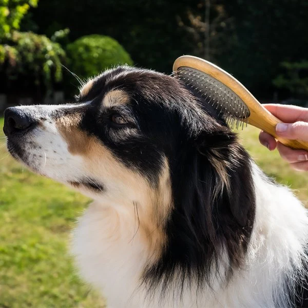 Pin Pet Brush - Image 2