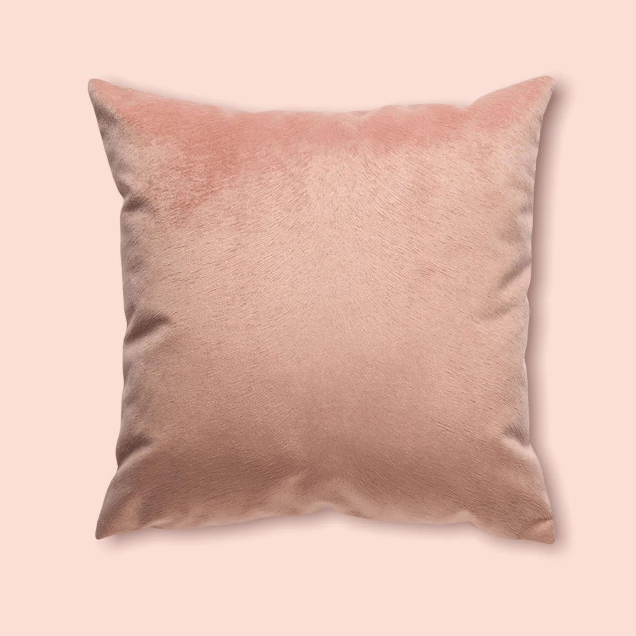 Pisa Feather Filled Cushion Blush 43 x 43cm