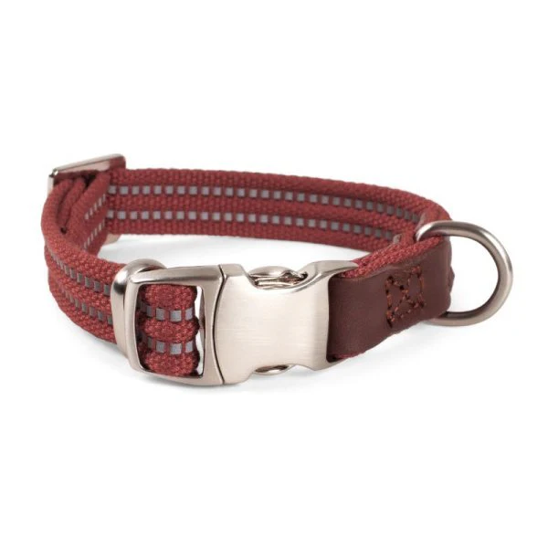 Primo - Burgundy - XS - Walkabout Dog Collar (20cm-30cm)