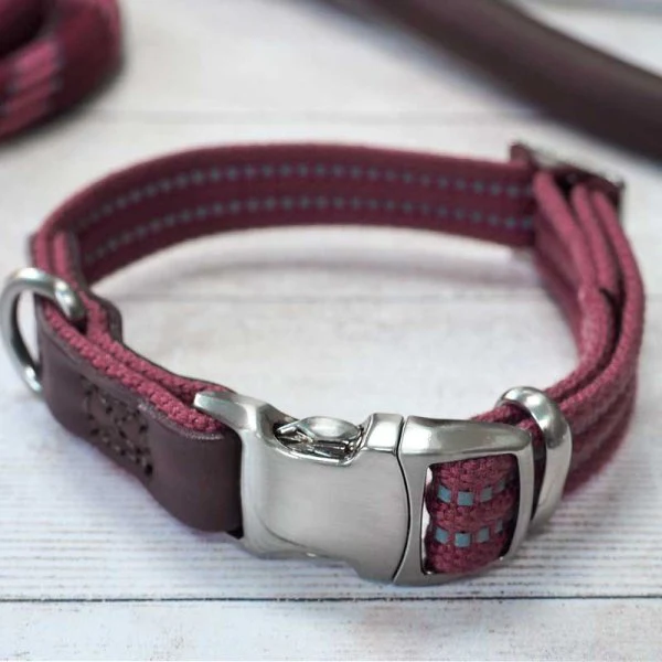 Primo - Burgundy - XS - Walkabout Dog Collar (20cm-30cm) - Image 2
