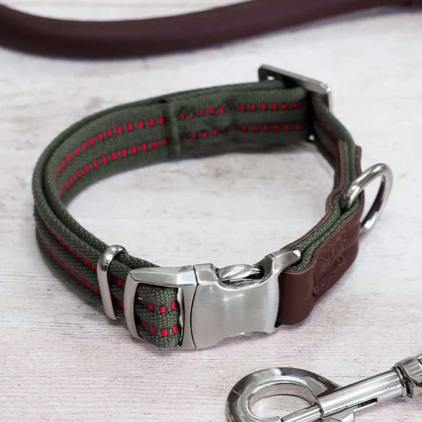Primo - Olive - Medium - Walkabout Dog Collar (31cm-47cm) - Image 2