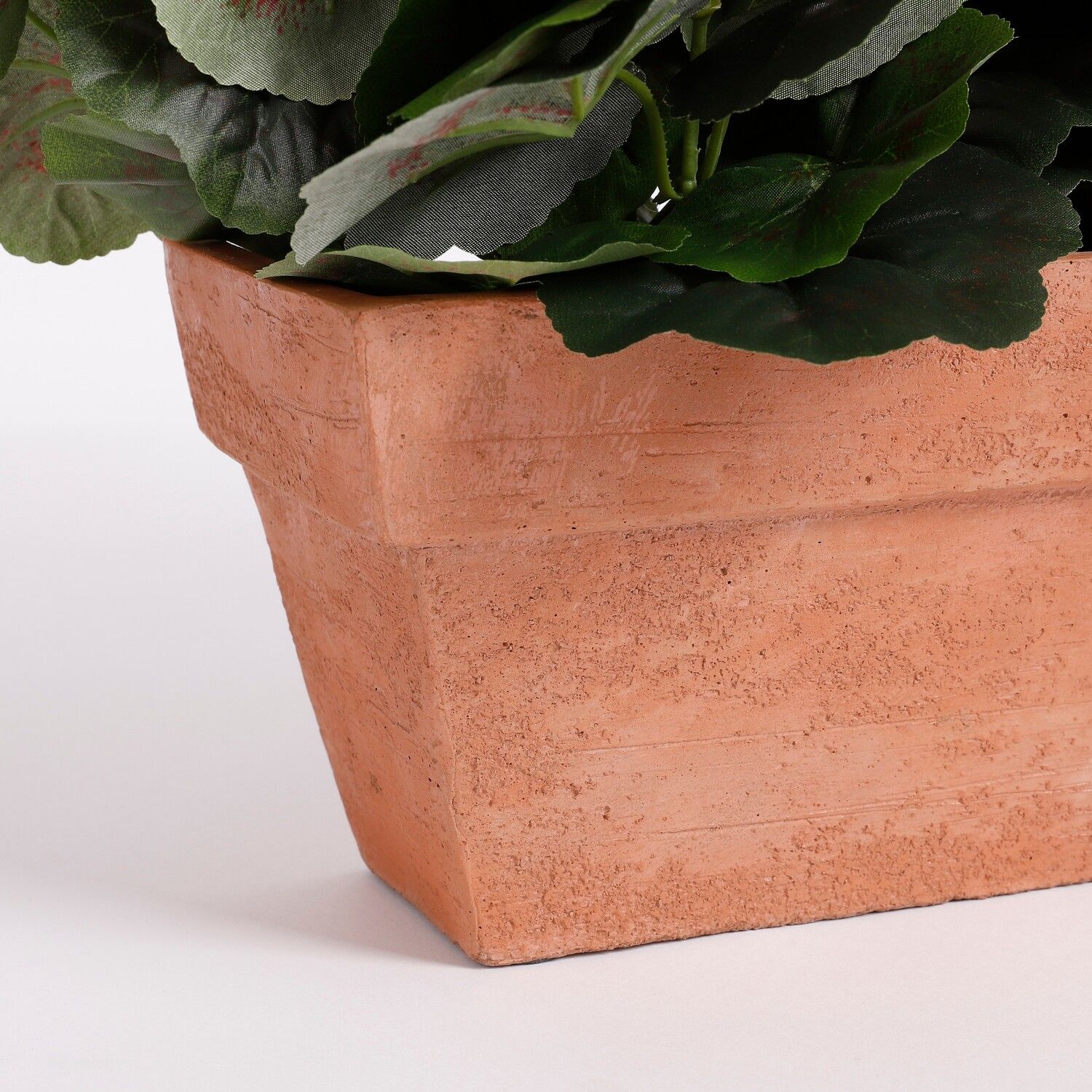 Purple Geranium in Terra Planter L29 x W13 x H40 cm - Image 3