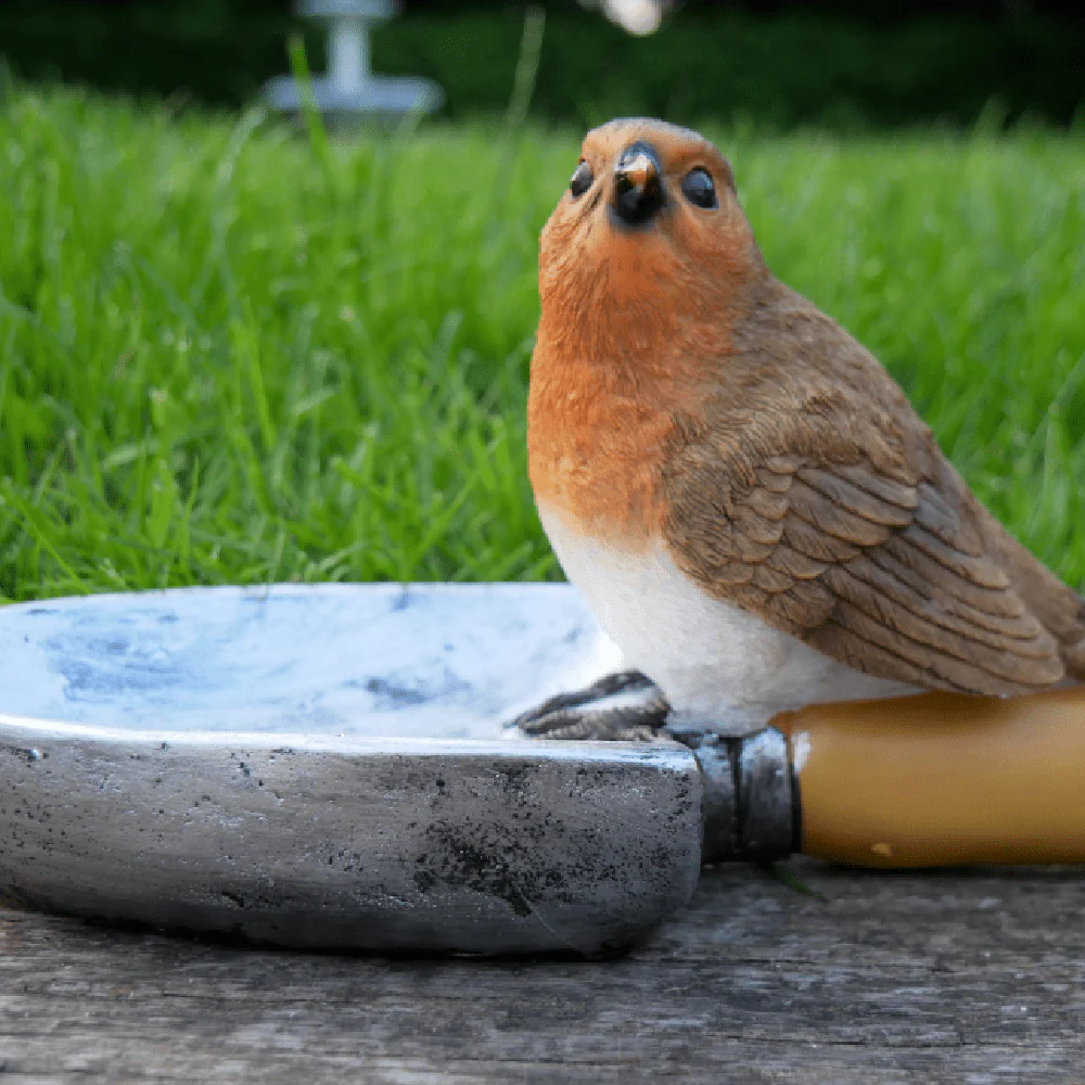 Robin Bird Feeder 13cm - Image 2