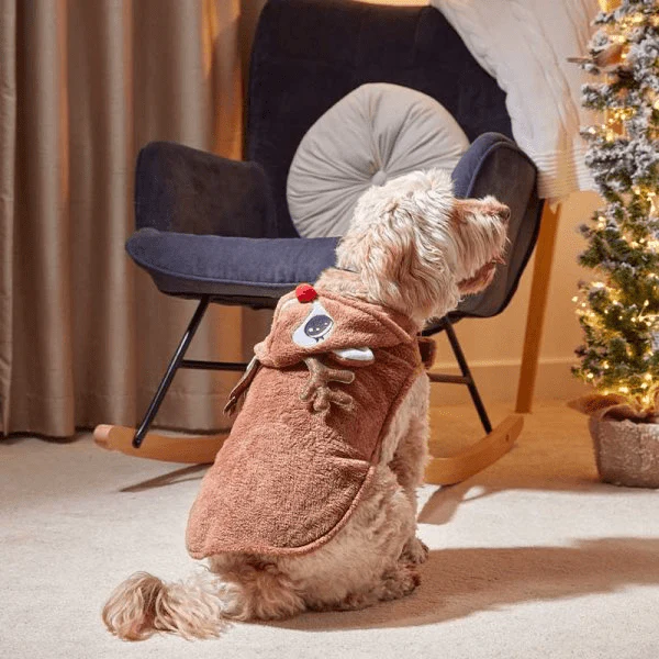 Rudy Christmas Dog Hoodie - 45cm