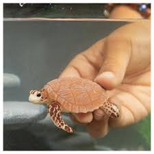 Schleich Hawskbill Sea Turtle - Image 2