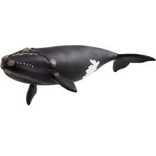 Schleich North Atlantic Right Whale - Image 2