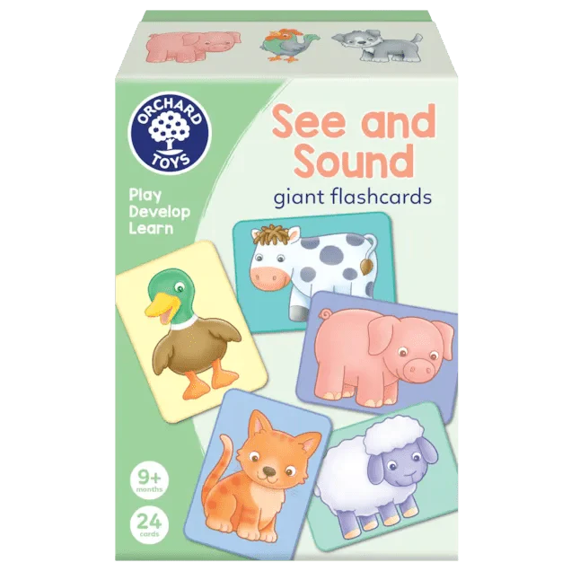 See and Sound Flashcards