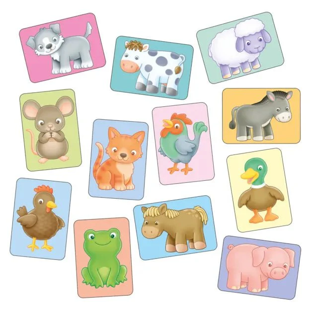 See and Sound Flashcards - Image 3