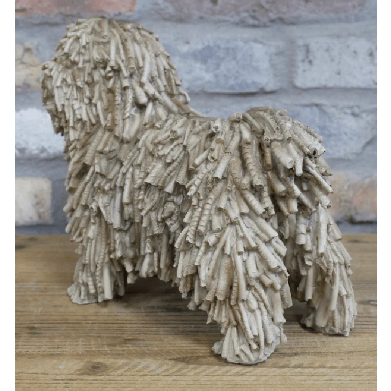Shaggy Dog - Image 3