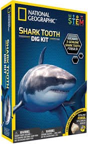 Shark Teeth Dig Kit - Image 2