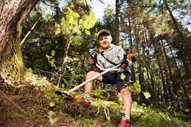 Stihl Toy Trimmers - Image 3