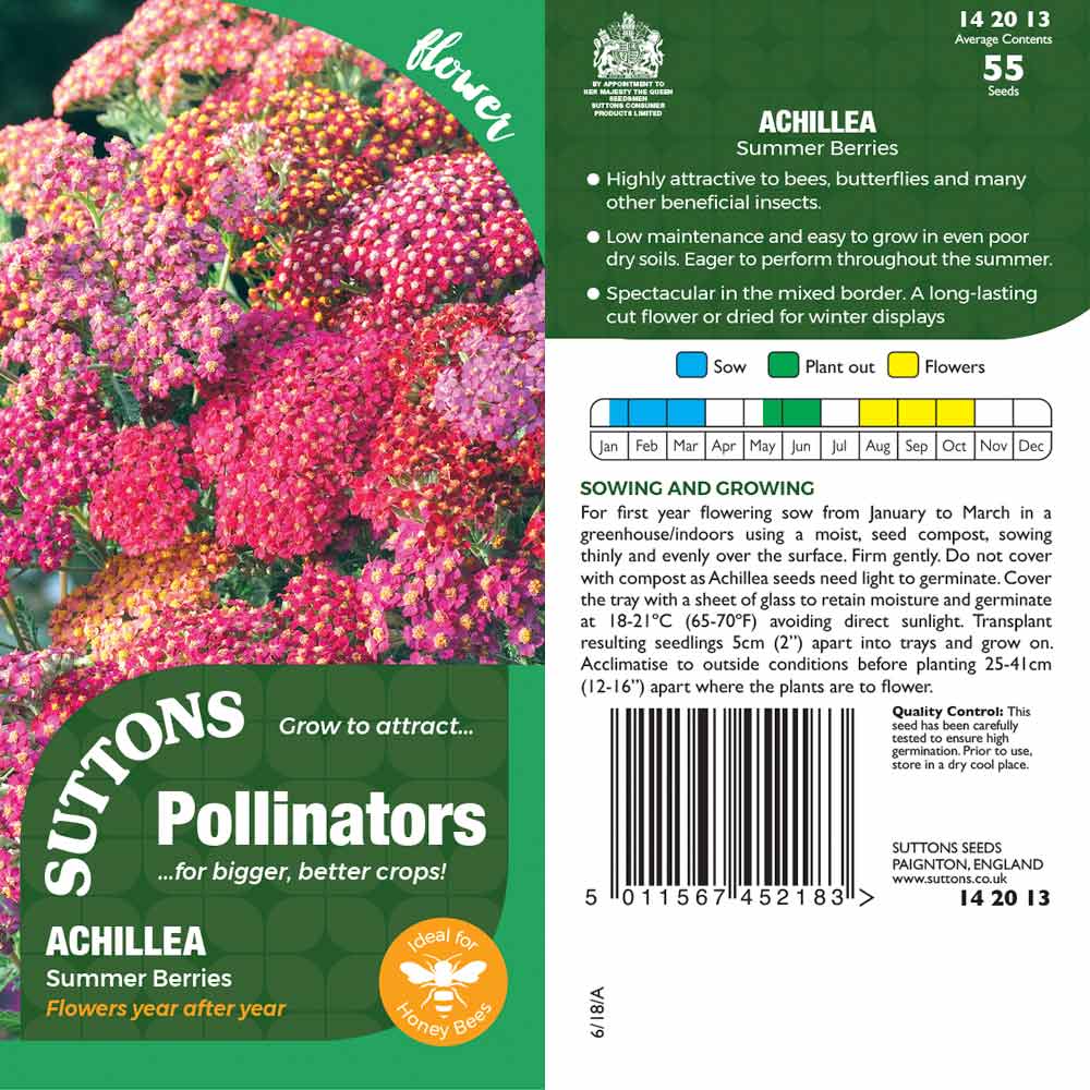 Suttons Achilleasummer Berries Pp - Image 2