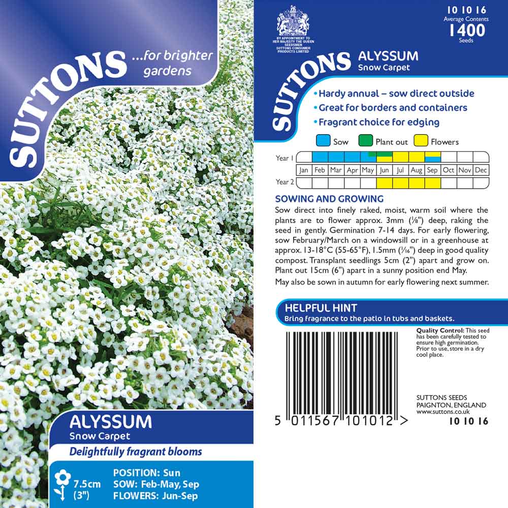 Suttons Alyssum Snow Carpet 101016 - Image 2