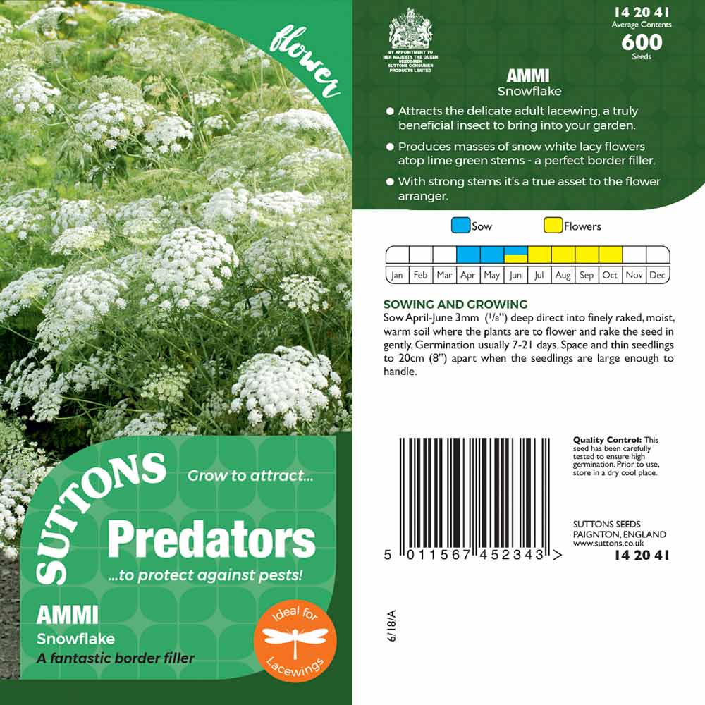 Suttons Ammisnowflake Pp