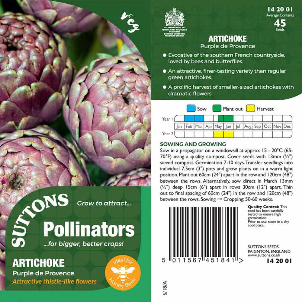 Suttons Artichoke Purple De Provence Pp