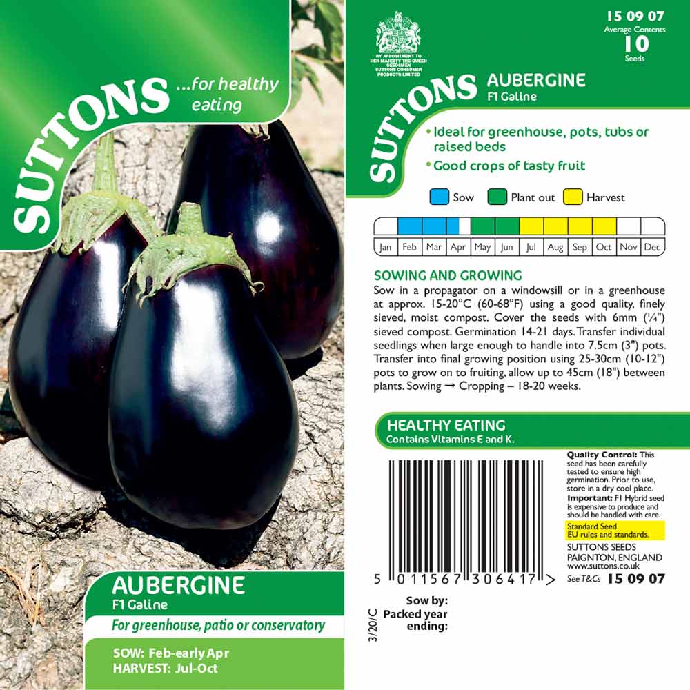 Suttons Aubergine - Galine G150907 - Image 2