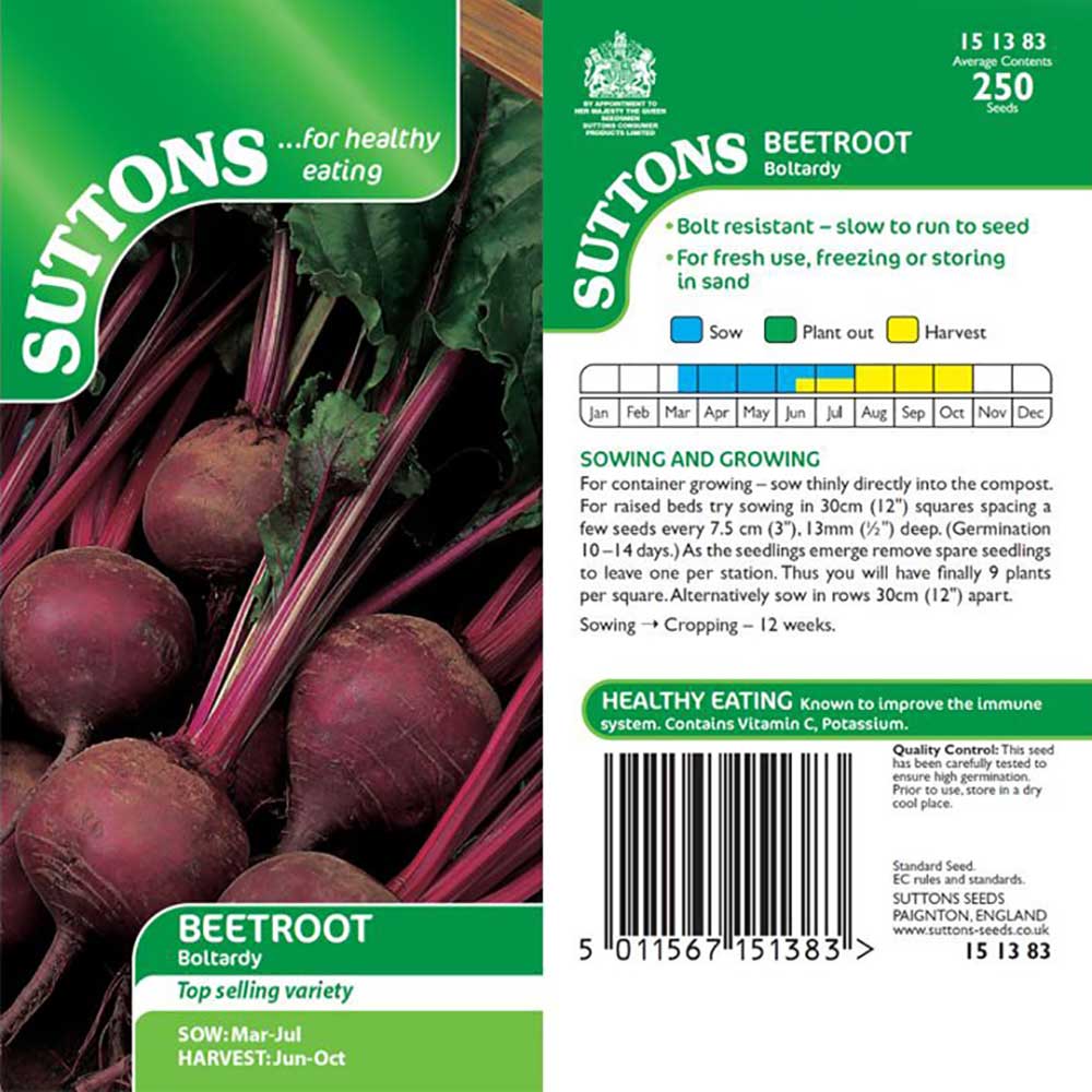 Suttons Beetroot Boltardy 151383 - Image 2