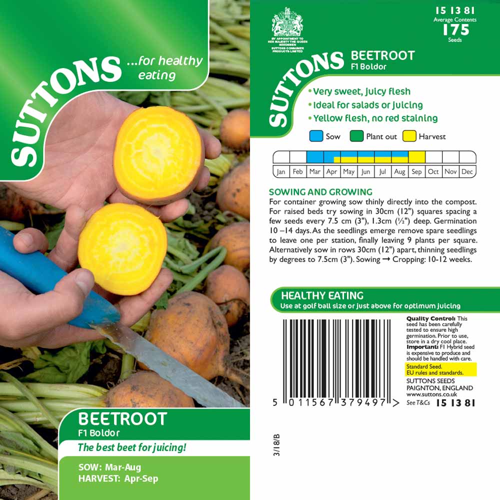 Suttons Beetroot F1 Boldor - Image 2