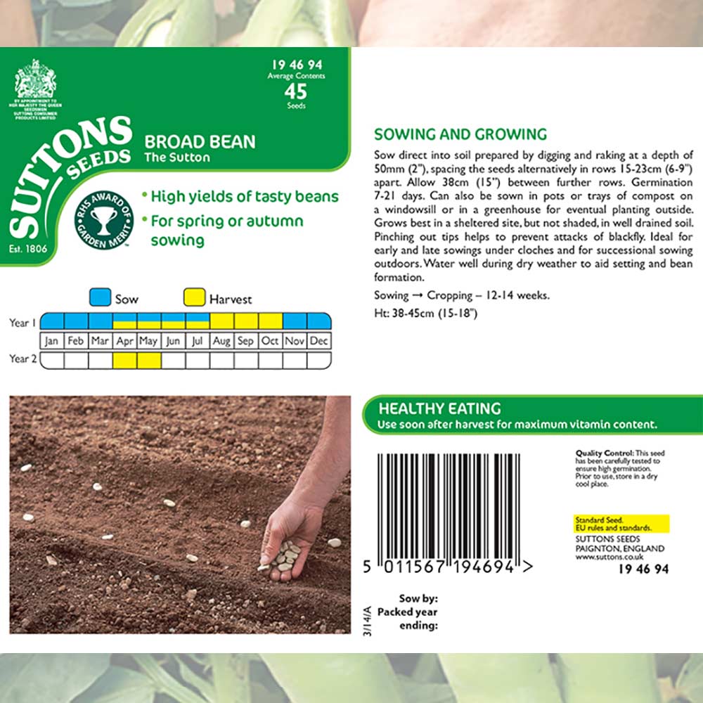 Suttons Broad Bean The Sutton Dwarf 194694 - Image 2