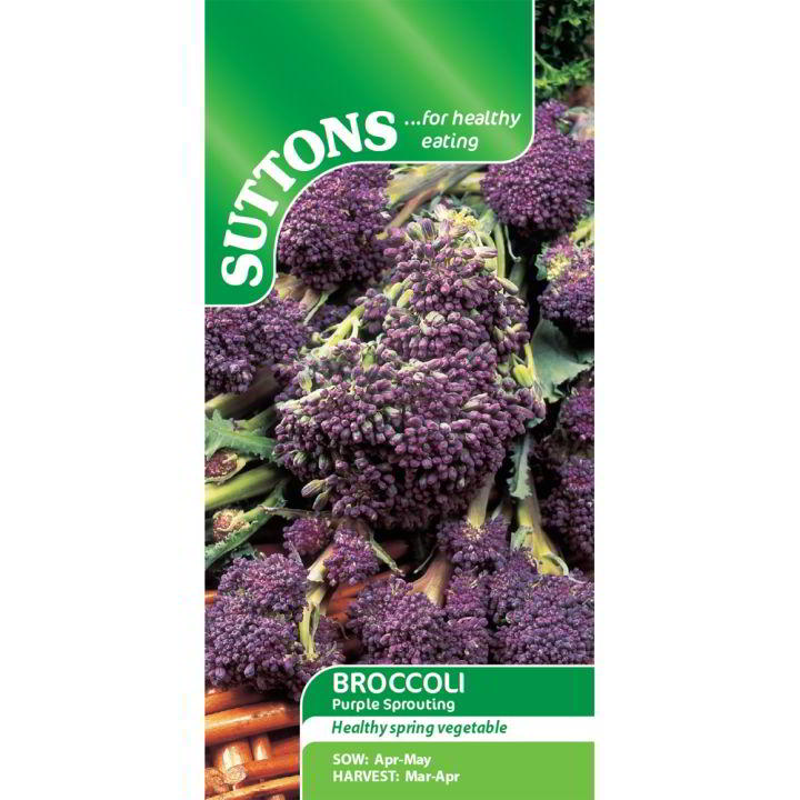 Suttons Broccoli Purple Sprouting 152729