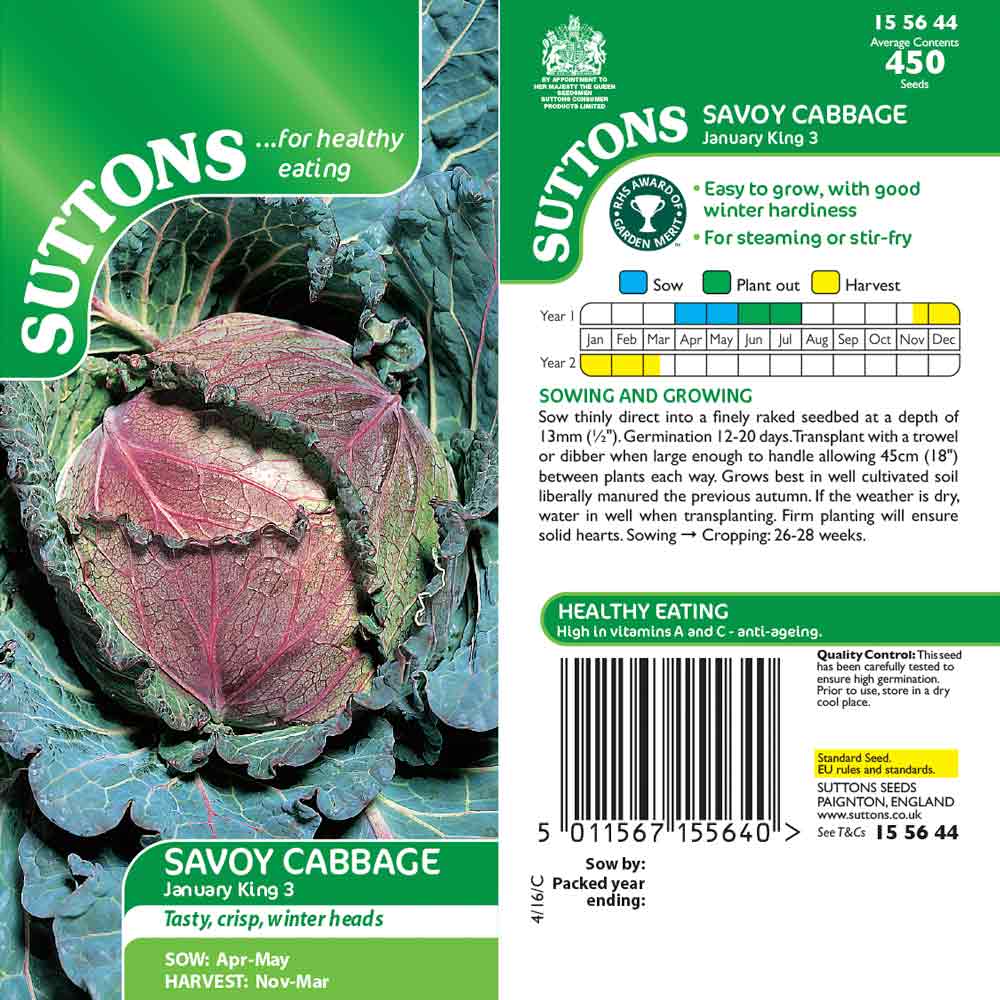 Suttons Cabbage Savoy January King3 155644 - Image 2