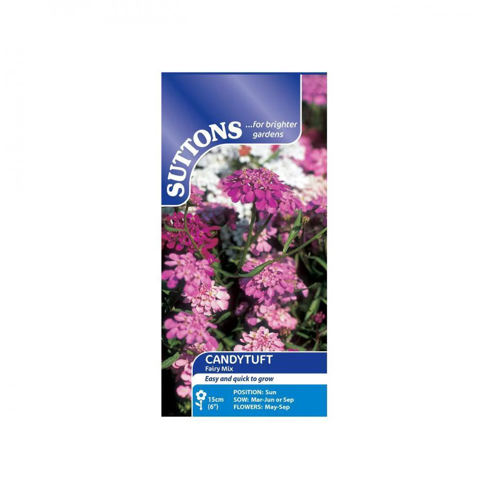 Suttons Candytuft Fairy Mix 107612 - Image 2