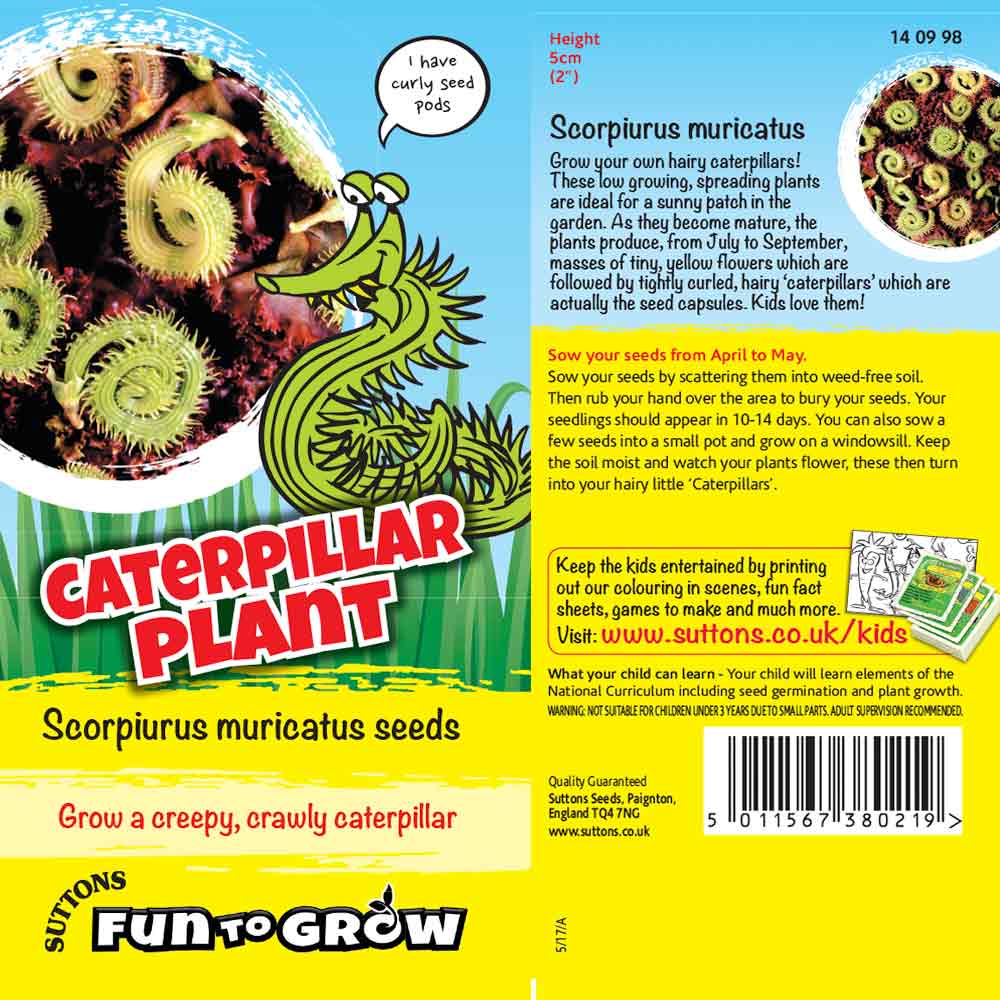 Suttons Caterpillar Plant (Scorpiurus Muricatus) Ftg