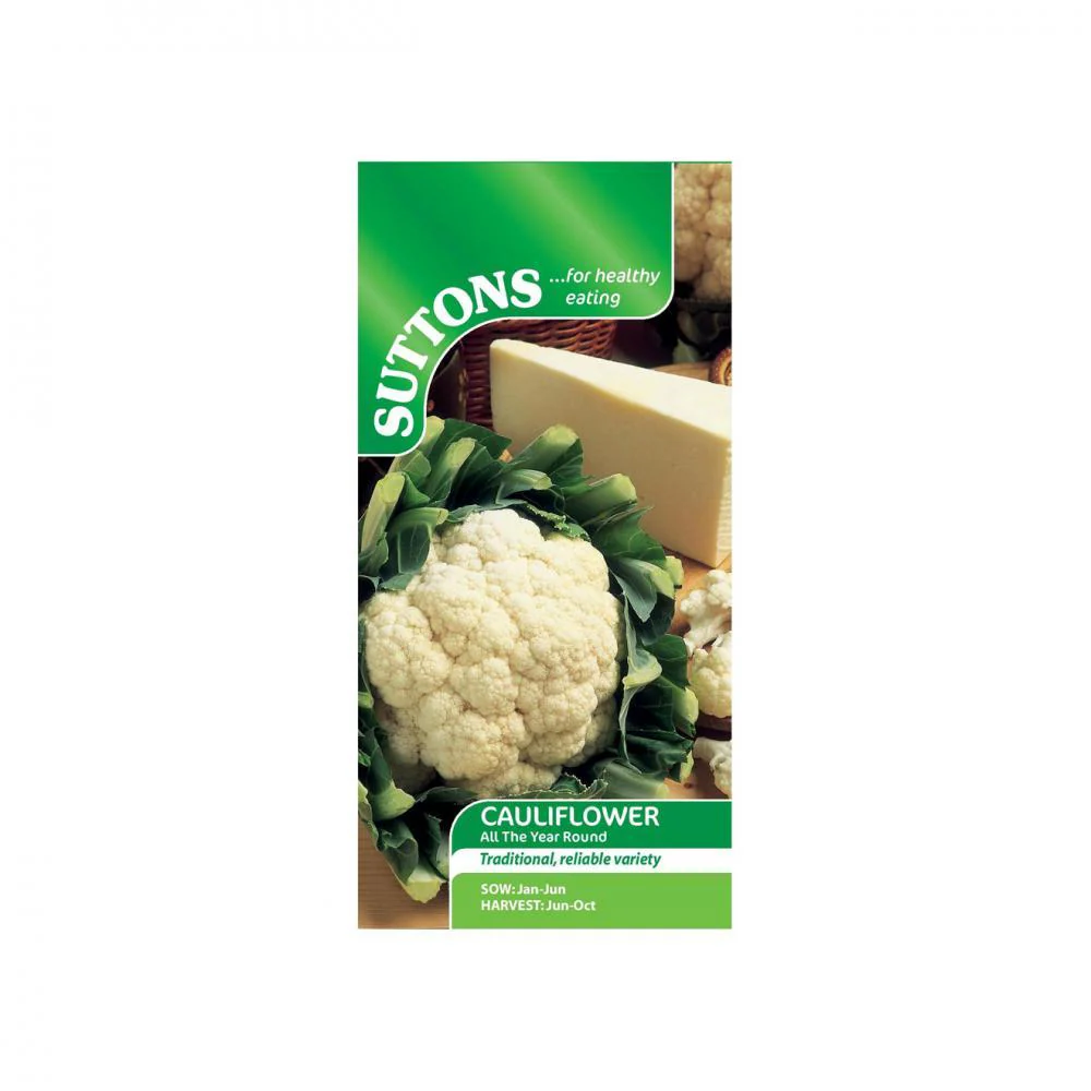 Suttons Cauliflower All Year Round 158489