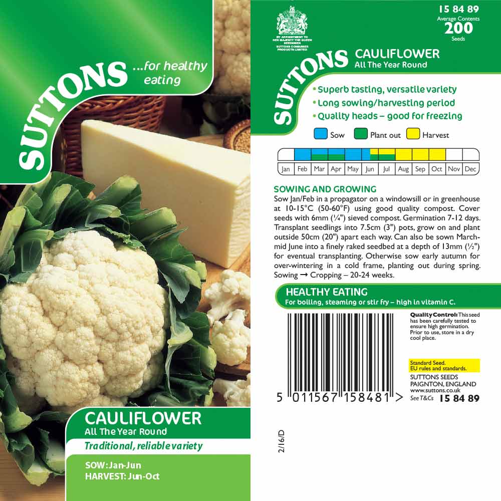 Suttons Cauliflower All Year Round 158489 - Image 2