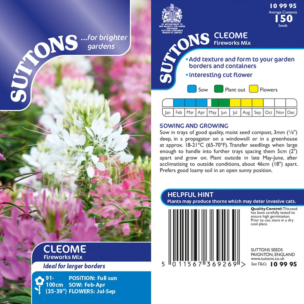 Suttons Cleome Fireworks Mix G109995 - Image 2
