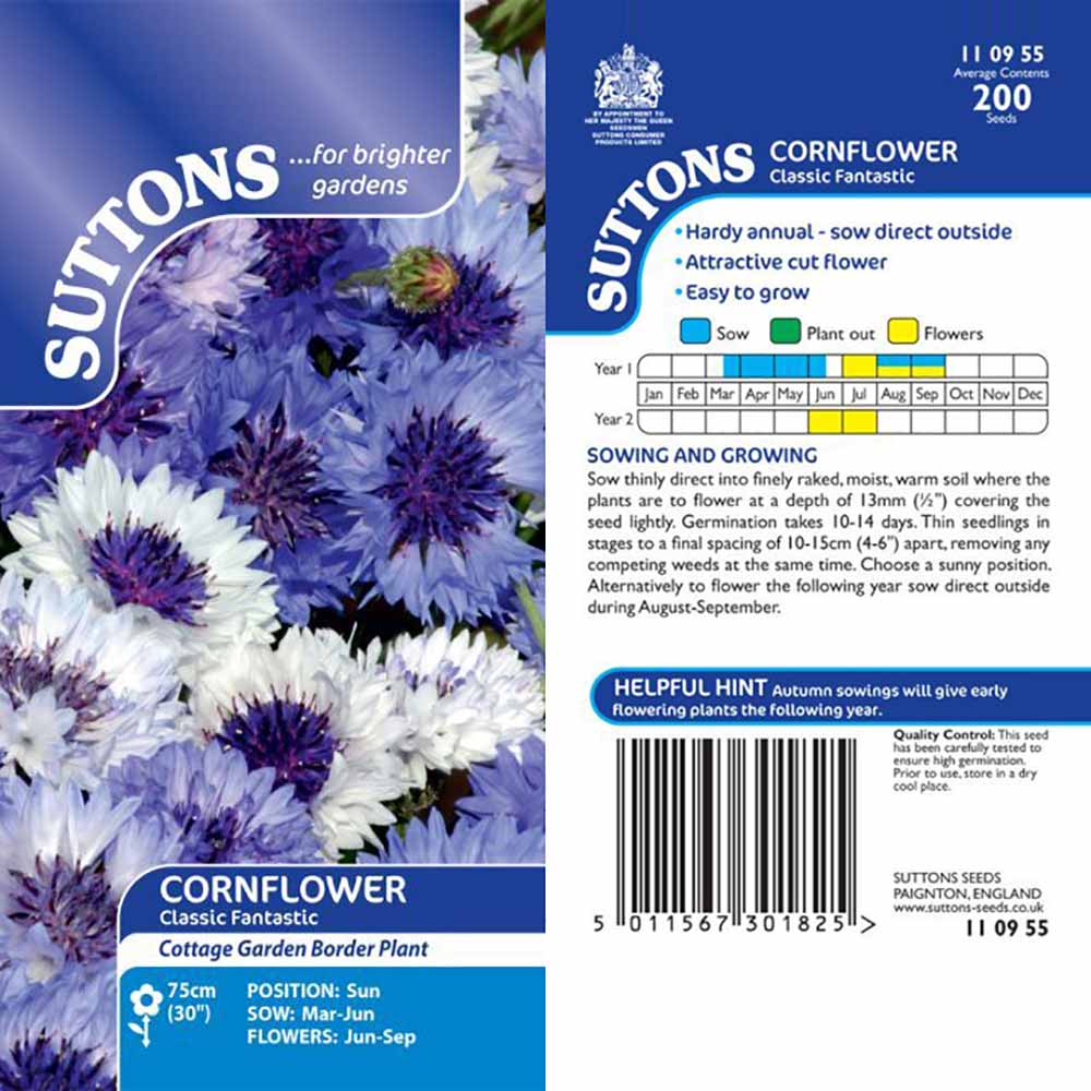 Suttons Cornflower Classic Fantastic - Image 2