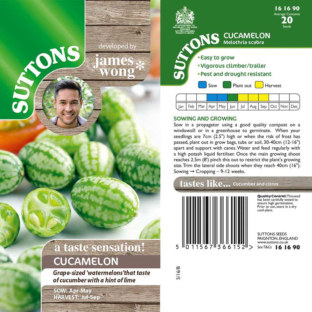 Suttons Cucamelon - Image 2