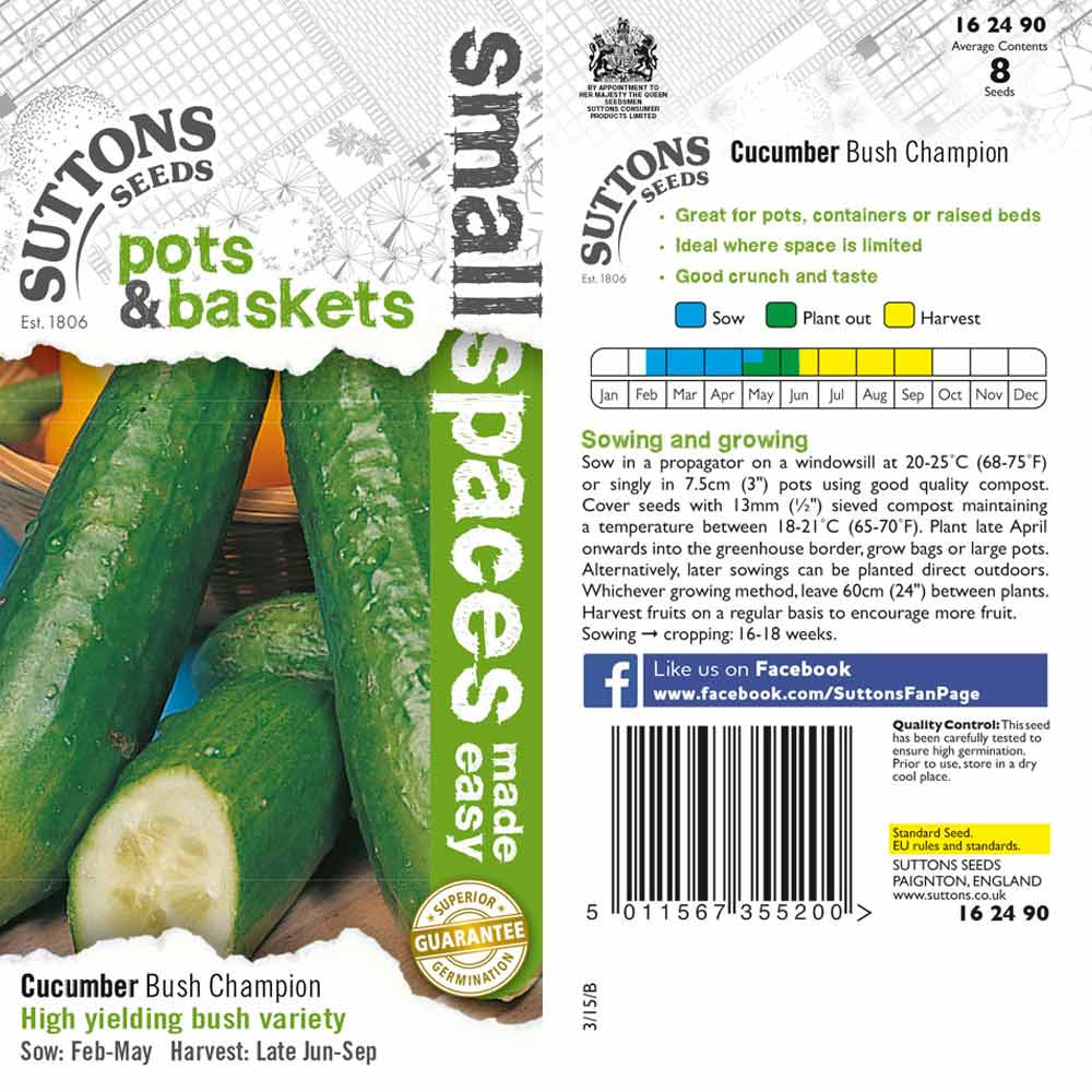 Suttons Cucumber Bush Champion - Image 2