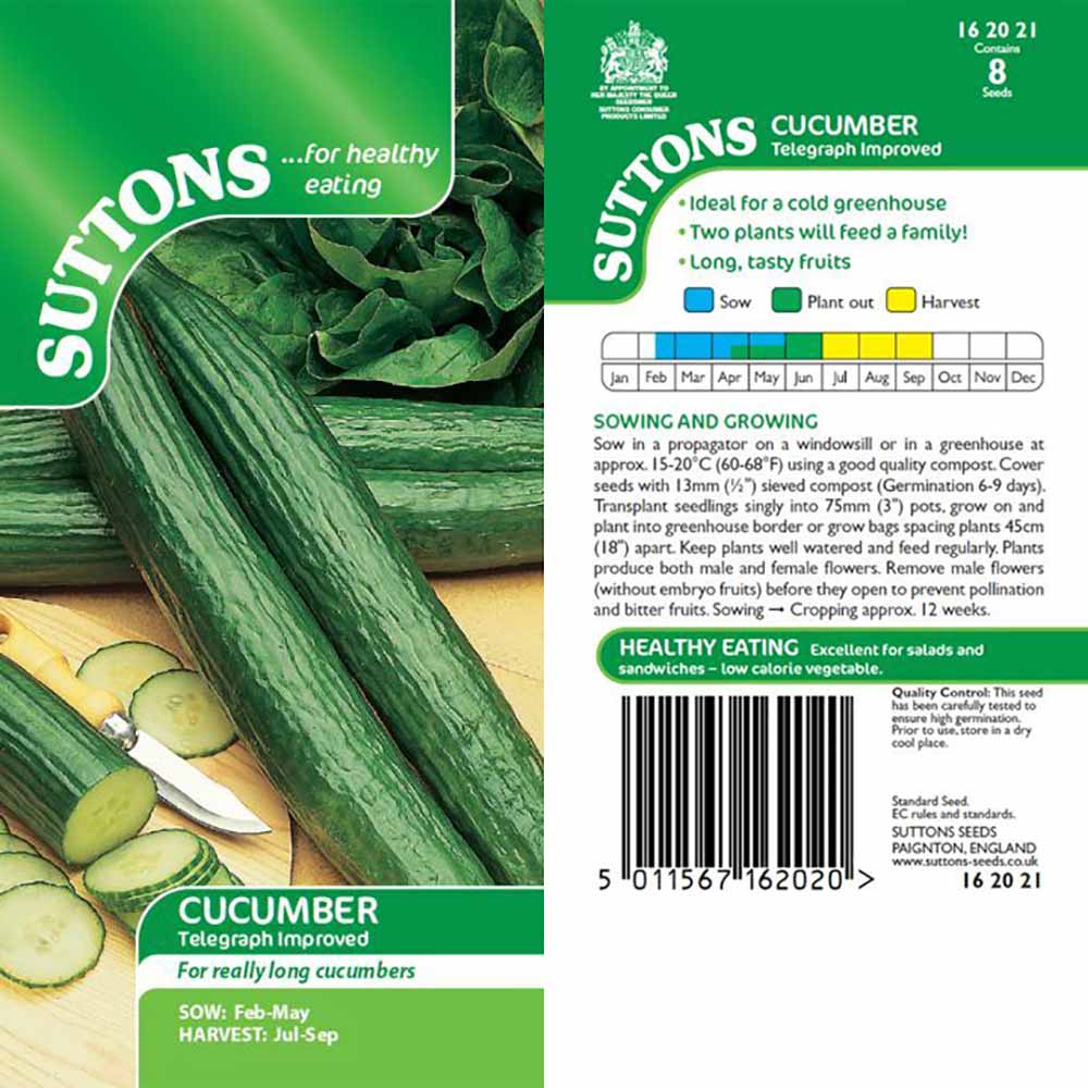 Suttons Cucumber Telegraph Improved 162021 - Image 2