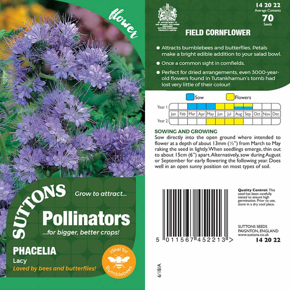 Suttons Field Cornflower Pp - Image 2