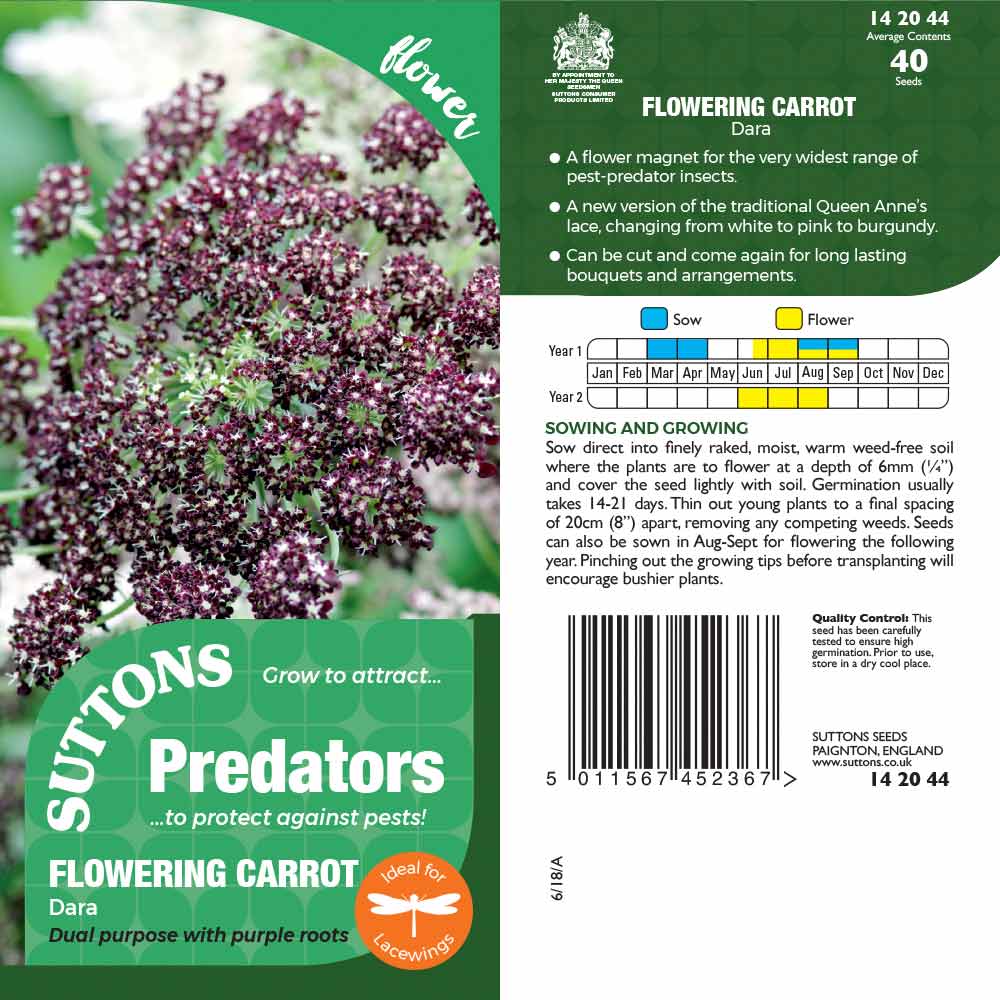 Suttons Flowering Carrot Dara Pp