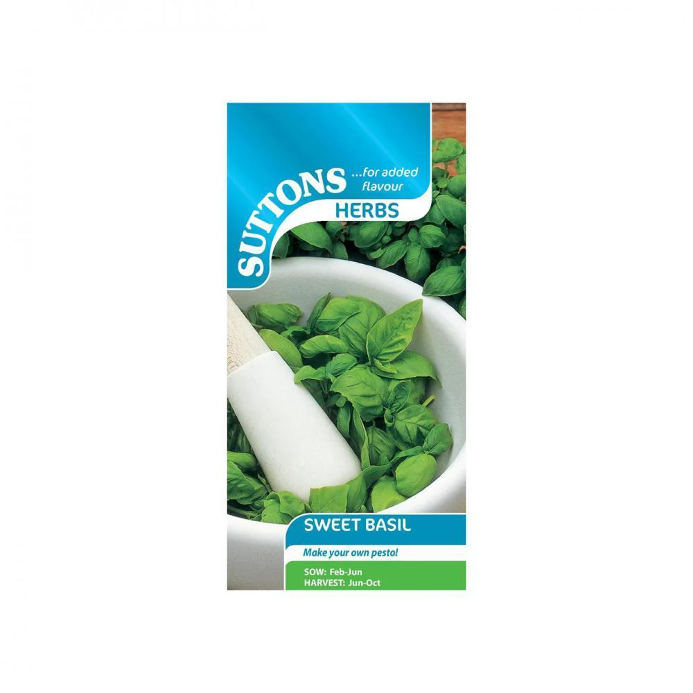 Suttons Herb Basil Sweet 164375