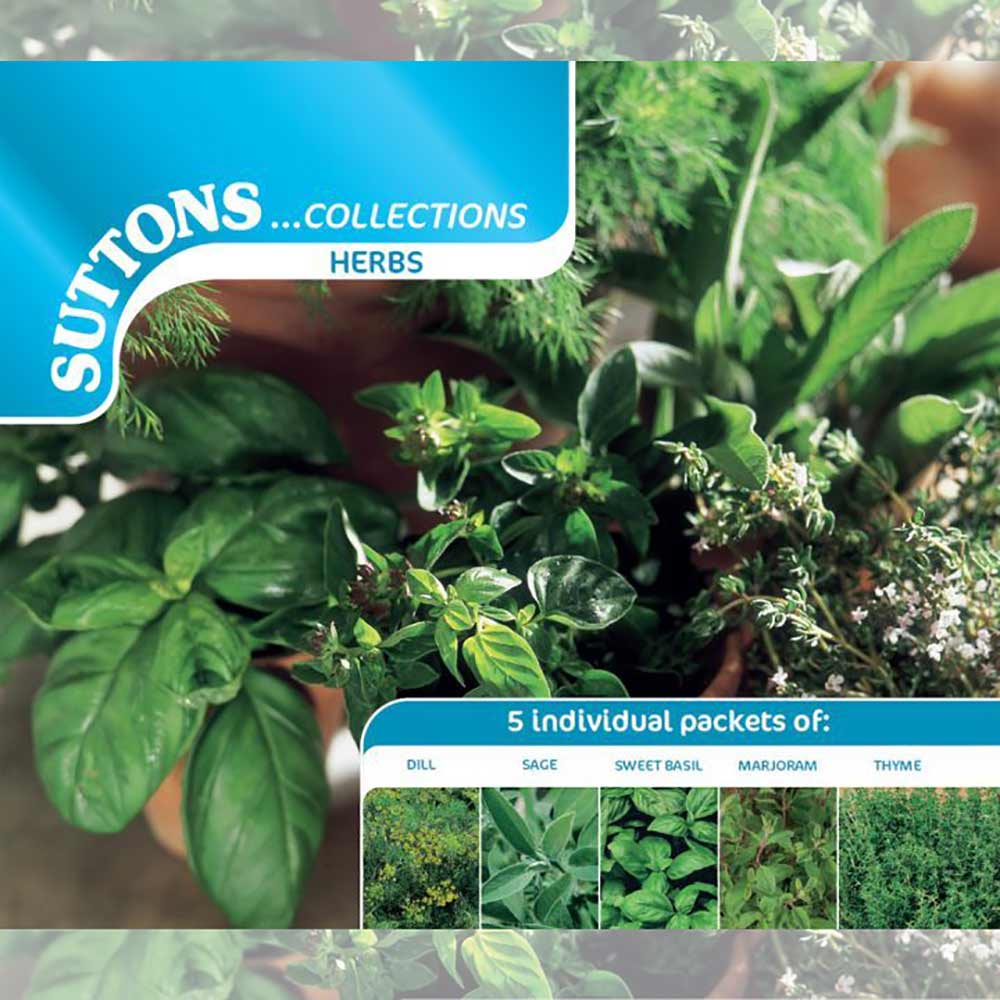 Suttons Herb Collection 185351